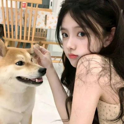 萌犬好声音4